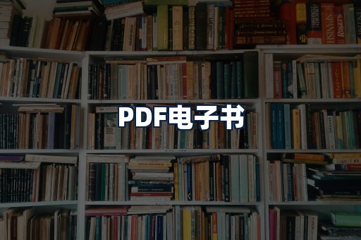 PDF电子书